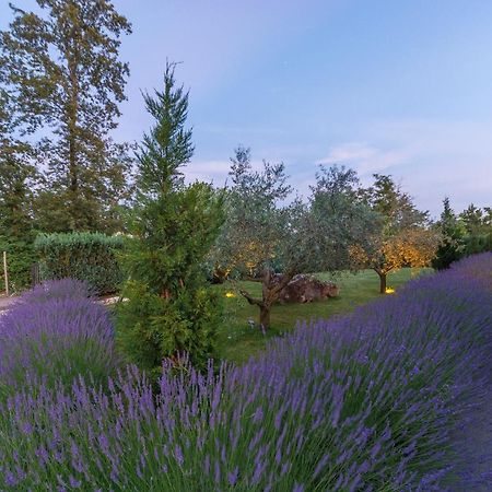 Villa Kate Istria Žminj Zewnętrze zdjęcie