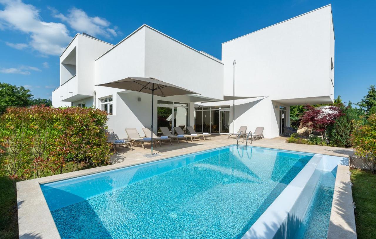 Villa Kate Istria Žminj Zewnętrze zdjęcie