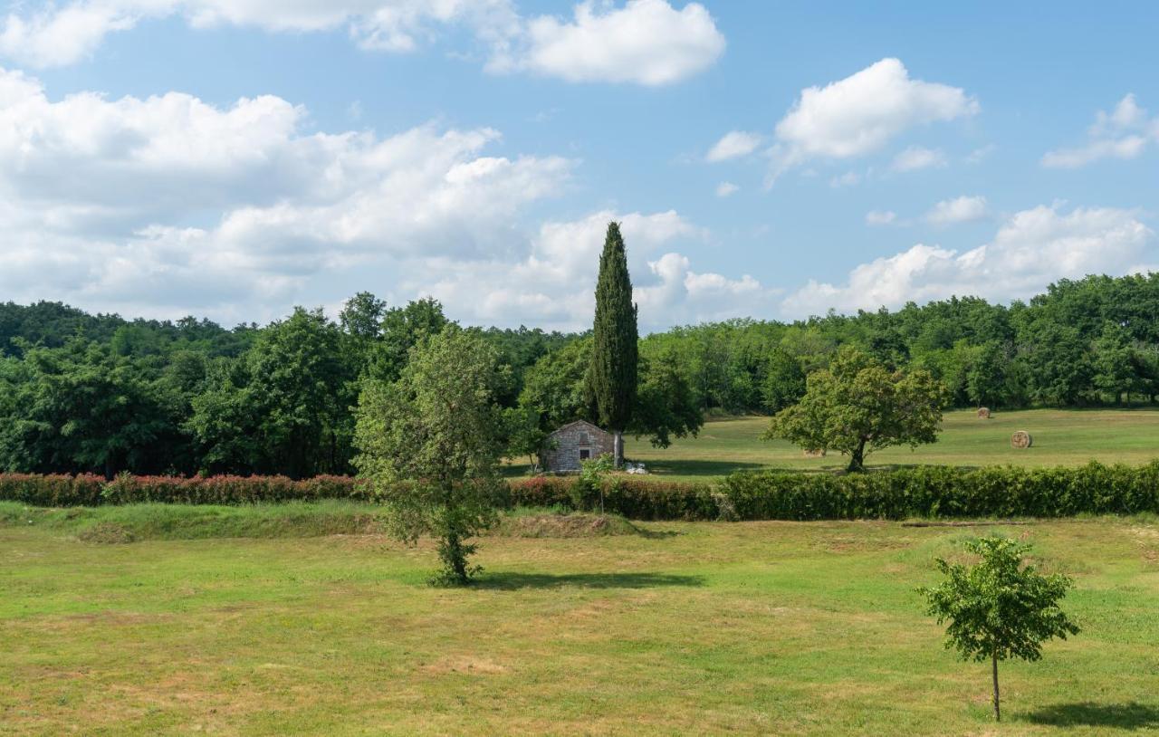 Villa Kate Istria Žminj Zewnętrze zdjęcie